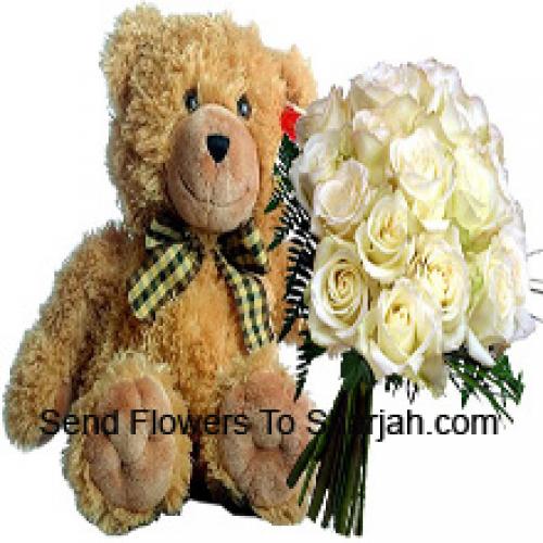 18 Roses Blanches avec Ours en Peluche de 14 Pouces