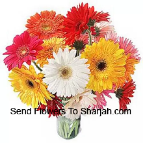 <b>Product Description</b><br><br>18 Mixed Colored Gerberas With Some Ferns In A Glass Vase<br><br><b>Delivery Information</b><br><br>* The design and packaging of the product can always vary and is subject to the availability of flowers and other products available at the time of delivery.<br><br>* The "Time selected is treated as a preference/request and is not a fixed time for delivery". We only guarantee delivery on a "Specified Date" and not within a specified "Time Frame".