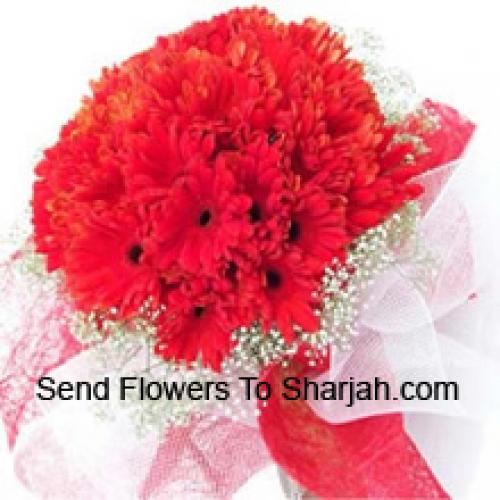 Cute 36 Red Gerberas