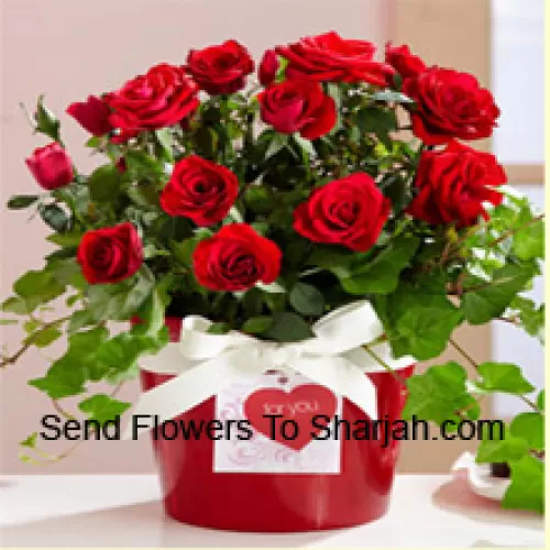 <b>Product Description</b><br><br>A Beautiful Arrangement Of 18 Red Roses With Seasonal Fillers<br><br><b>Delivery Information</b><br><br>* The design and packaging of the product can always vary and is subject to the availability of flowers and other products available at the time of delivery.<br><br>* The "Time selected is treated as a preference/request and is not a fixed time for delivery". We only guarantee delivery on a "Specified Date" and not within a specified "Time Frame".