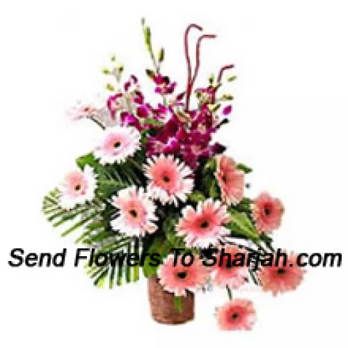 <b>Product Description</b><br><br>Basket Of Orchids And Gerberas<br><br><b>Delivery Information</b><br><br>* The design and packaging of the product can always vary and is subject to the availability of flowers and other products available at the time of delivery.<br><br>* The "Time selected is treated as a preference/request and is not a fixed time for delivery". We only guarantee delivery on a "Specified Date" and not within a specified "Time Frame".