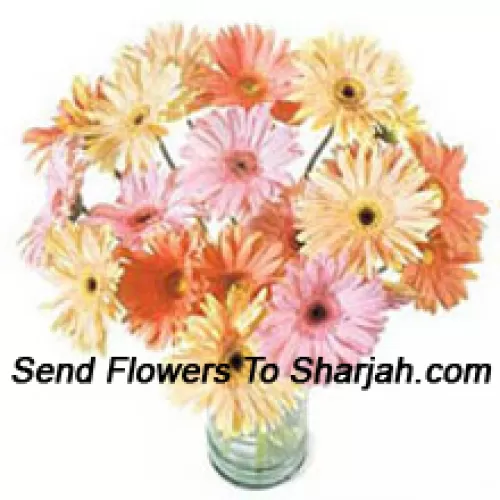 <b>Product Description</b><br><br>24 Mixed Colored Gerberas In A Vase<br><br><b>Delivery Information</b><br><br>* The design and packaging of the product can always vary and is subject to the availability of flowers and other products available at the time of delivery.<br><br>* The "Time selected is treated as a preference/request and is not a fixed time for delivery". We only guarantee delivery on a "Specified Date" and not within a specified "Time Frame".