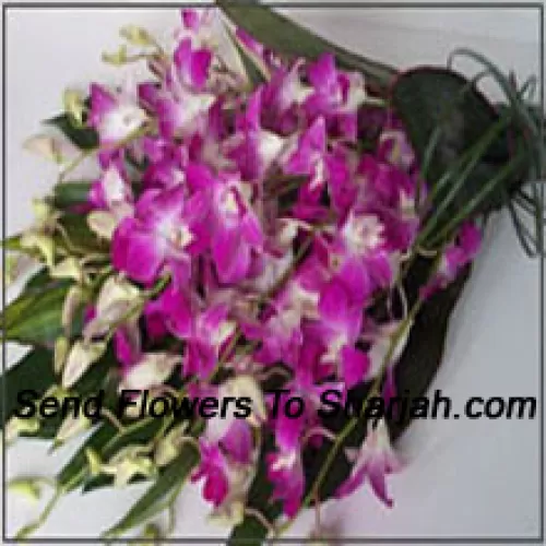 <b>Product Description</b><br><br>Bunch Of Orchids With Seasonal Fillers<br><br><b>Delivery Information</b><br><br>* The design and packaging of the product can always vary and is subject to the availability of flowers and other products available at the time of delivery.<br><br>* The "Time selected is treated as a preference/request and is not a fixed time for delivery". We only guarantee delivery on a "Specified Date" and not within a specified "Time Frame".