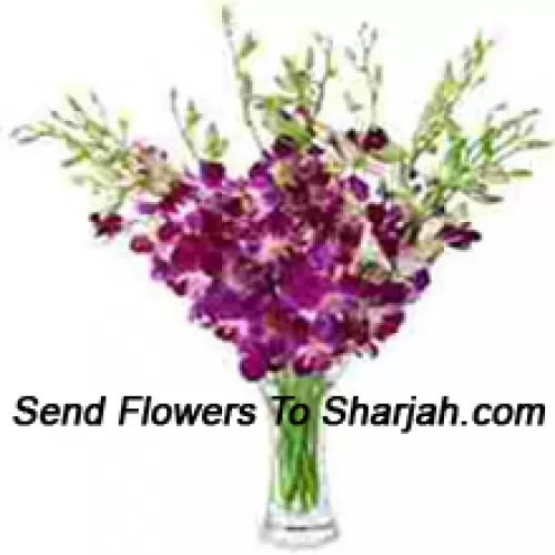 <b>Product Description</b><br><br>Orchids In A Vase<br><br><b>Delivery Information</b><br><br>* The design and packaging of the product can always vary and is subject to the availability of flowers and other products available at the time of delivery.<br><br>* The "Time selected is treated as a preference/request and is not a fixed time for delivery". We only guarantee delivery on a "Specified Date" and not within a specified "Time Frame".