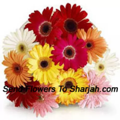 <b>Product Description</b><br><br>Bunch Of 12 Assorted Colored Gerberas<br><br><b>Delivery Information</b><br><br>* The design and packaging of the product can always vary and is subject to the availability of flowers and other products available at the time of delivery.<br><br>* The "Time selected is treated as a preference/request and is not a fixed time for delivery". We only guarantee delivery on a "Specified Date" and not within a specified "Time Frame".