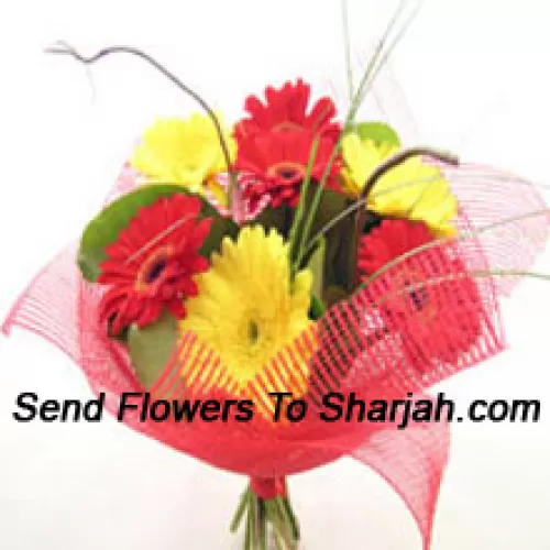 <b>Product Description</b><br><br>Bunch Of 12 Mixed Colored Gerberas<br><br><b>Delivery Information</b><br><br>* The design and packaging of the product can always vary and is subject to the availability of flowers and other products available at the time of delivery.<br><br>* The "Time selected is treated as a preference/request and is not a fixed time for delivery". We only guarantee delivery on a "Specified Date" and not within a specified "Time Frame".