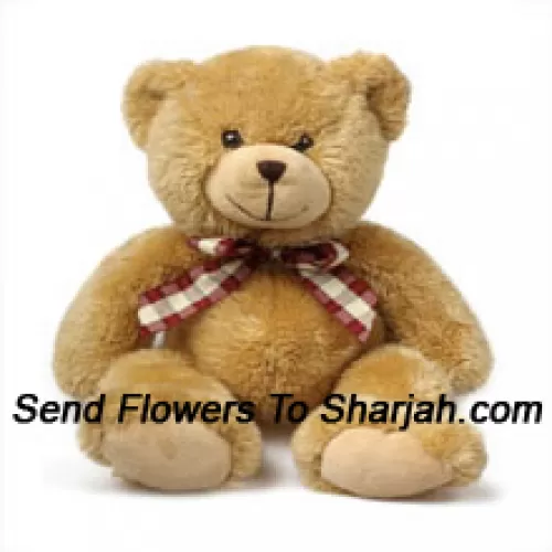 Cute Brown 12 Inch Teddy Bear