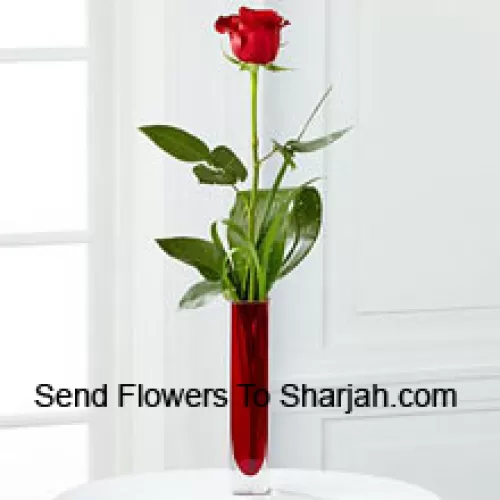 <b>Product Description</b><br><br>A Single Red Rose In A Red Test Tube Vase (We Reserve The Right To Substitute The Vase In Case Of Non-Availability. Limited Stock)<br><br><b>Delivery Information</b><br><br>* The design and packaging of the product can always vary and is subject to the availability of flowers and other products available at the time of delivery.<br><br>* The "Time selected is treated as a preference/request and is not a fixed time for delivery". We only guarantee delivery on a "Specified Date" and not within a specified "Time Frame".