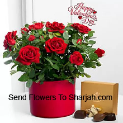 <b>Product Description</b><br><br>24 Red Roses With Some Ferns In A Big Vase And A Box Of Godiva Chocolates (We reserve the right to substitute the Godiva chocolates with chocolates of equal value in case of non-availability of the same. Limited Stock)<br><br><b>Delivery Information</b><br><br>* The design and packaging of the product can always vary and is subject to the availability of flowers and other products available at the time of delivery.<br><br>* The "Time selected is treated as a preference/request and is not a fixed time for delivery". We only guarantee delivery on a "Specified Date" and not within a specified "Time Frame".